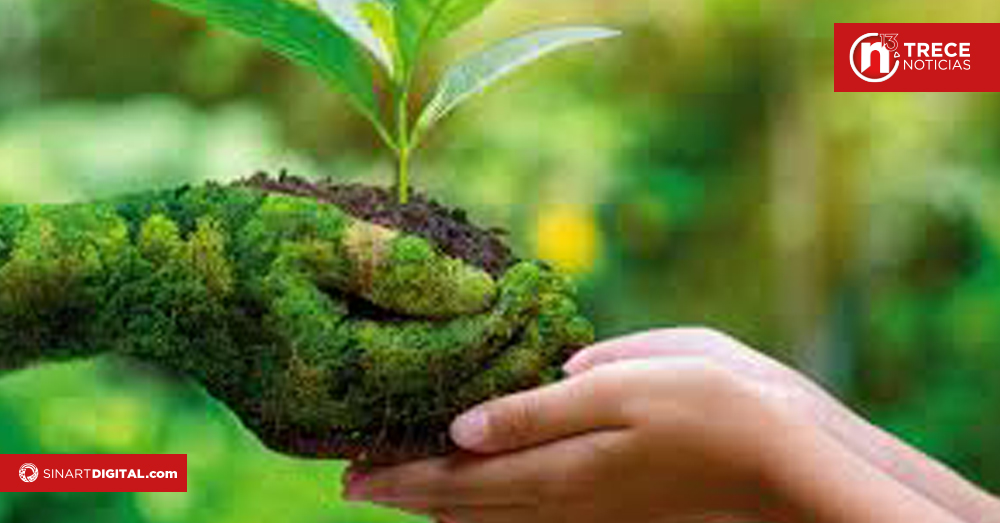 Sector privado invirtió ₡118 mil millones en protección ambiental durante 2022