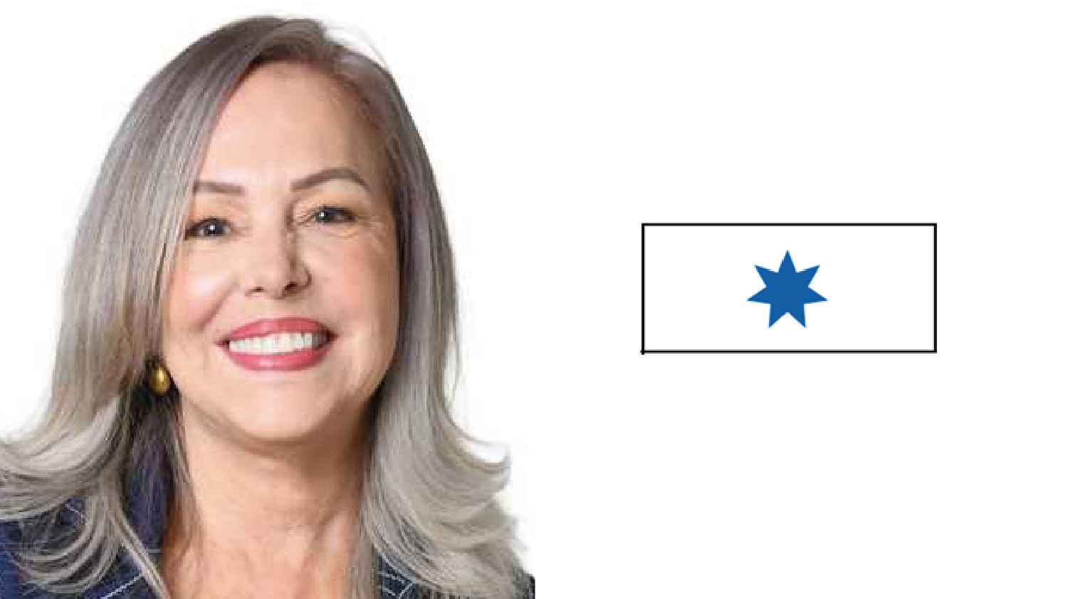 Ana Virginia Calzada, Partido Centro Democrático y Social