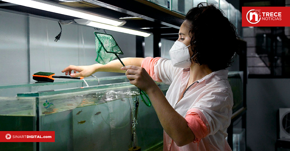 UCR desarrolla técnicas para reducir el uso de animales en pruebas de laboratorio