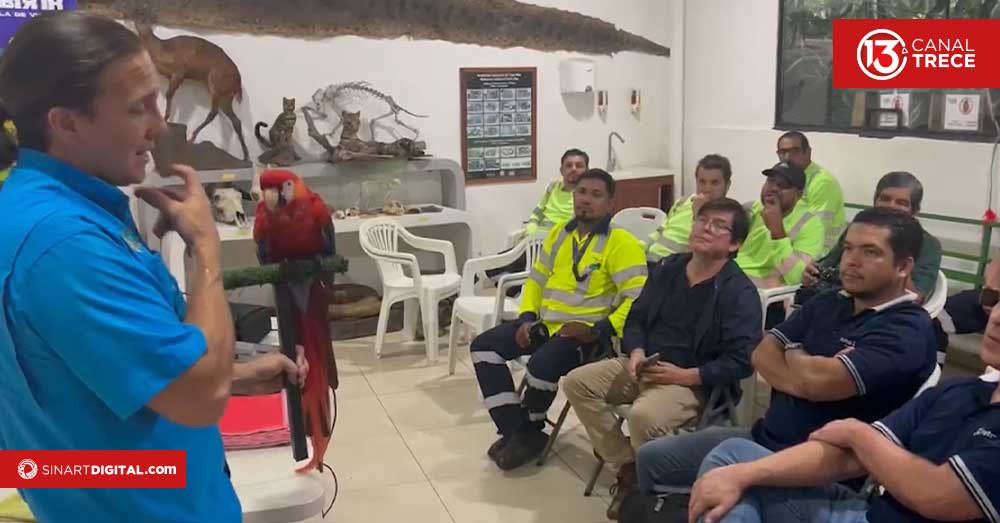 Recomendaciones clave si se encuentra fauna silvestre en la vía