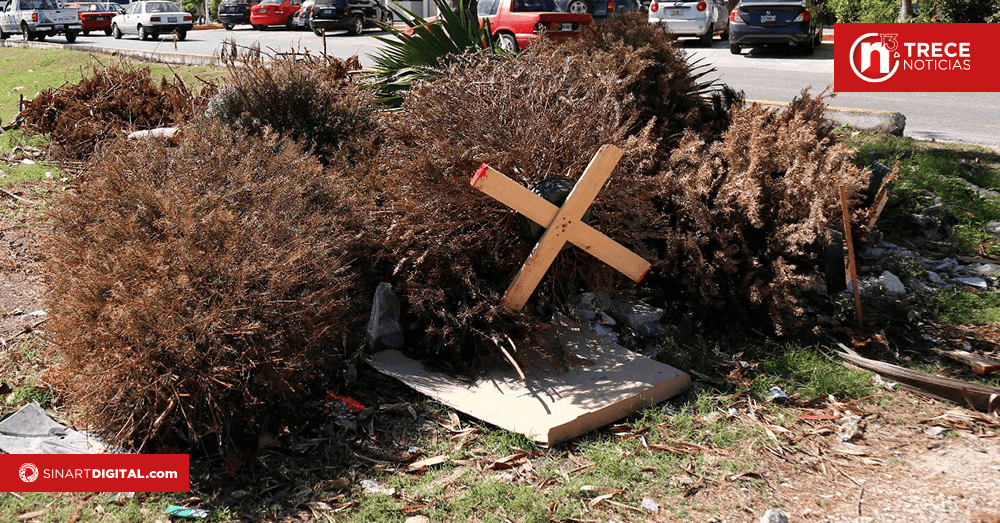 Bomberos pide tener cuidado al desechar árboles navideños