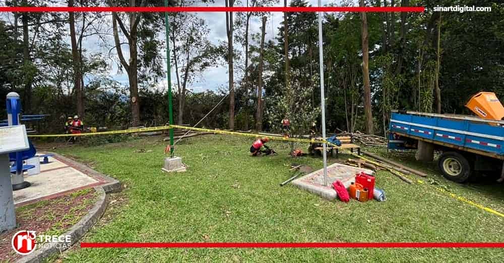 Municipio de La Unión cierra parque para cortar árboles con posición 'riesgosa'