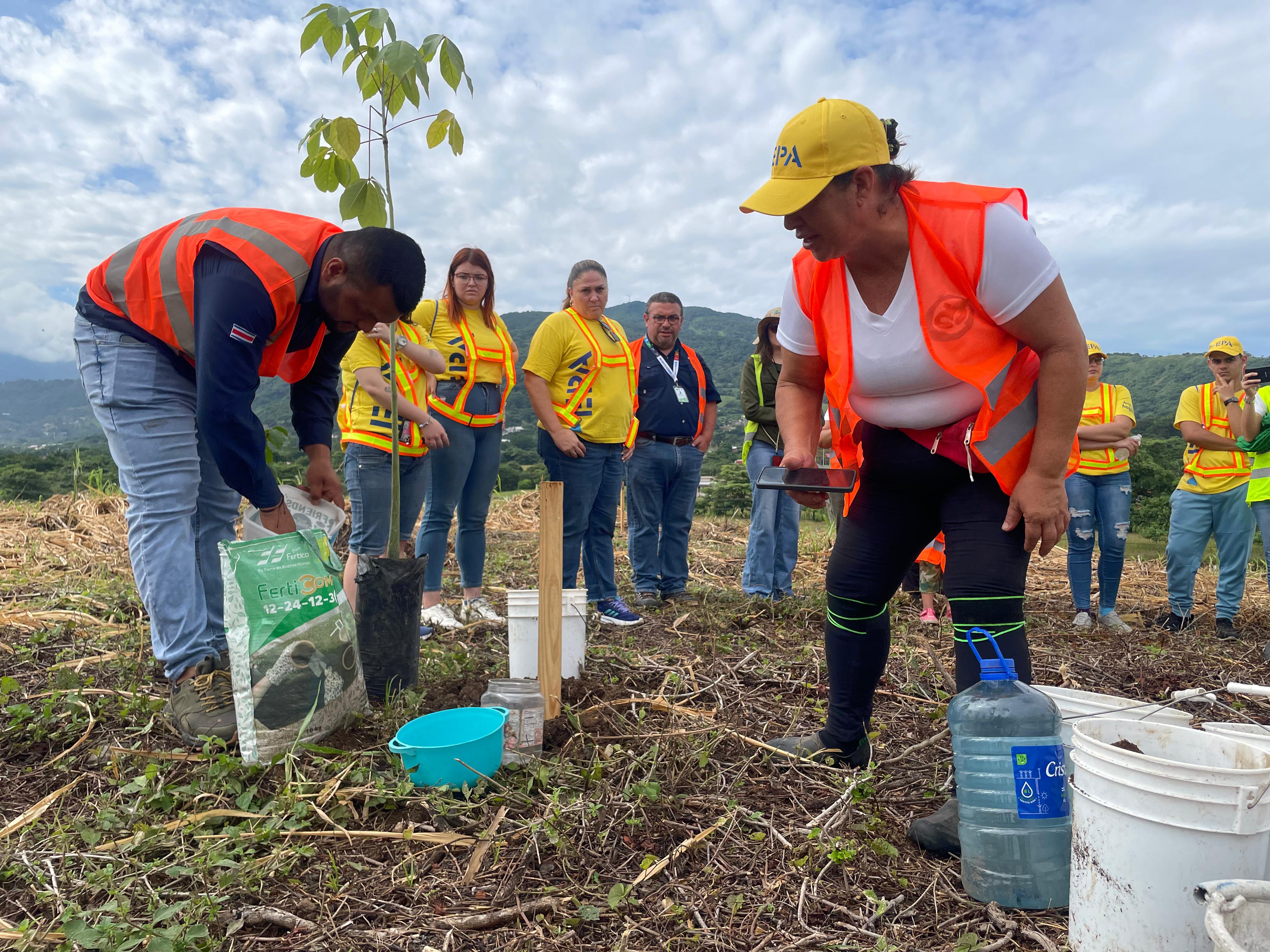 Iniciativa de reforestación generará empleo y mejorará el paisaje urbano en San José
