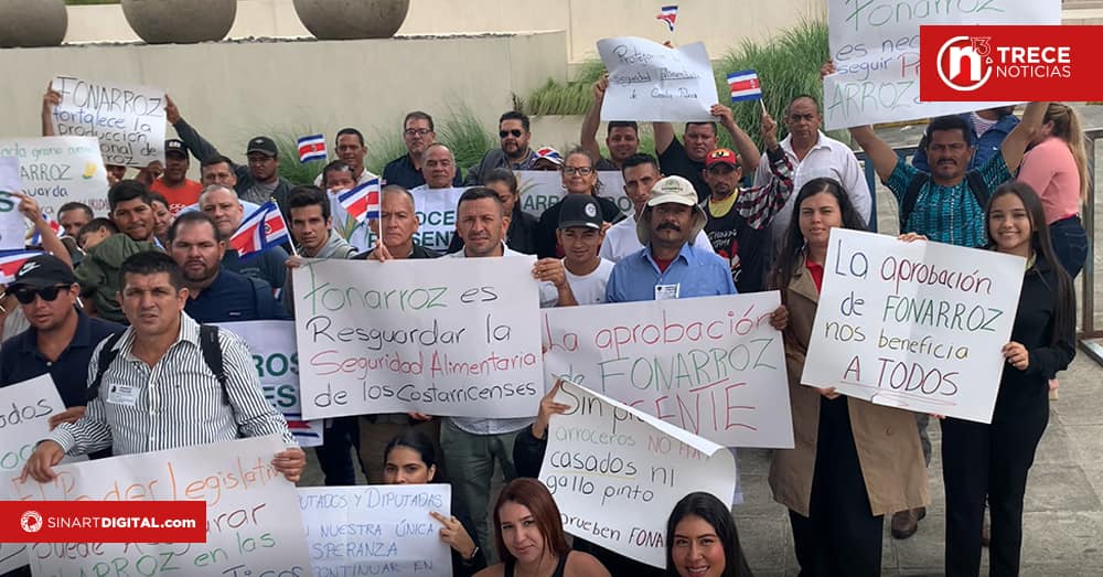 Urgen reflexión sobre el cultivo de arroz y una ley que lo sustente