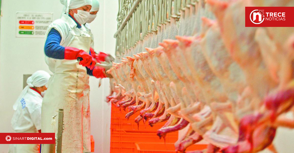 China suspende importaciones de pollo brasileño tras brote de gripe aviar
