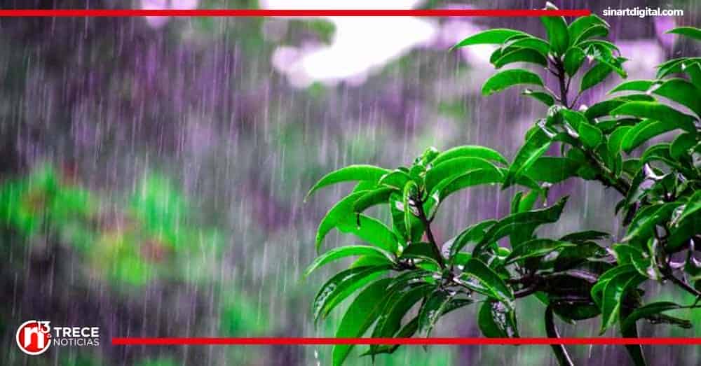 ¿Por qué habrá menos lluvias en julio? Esto explica el IMN