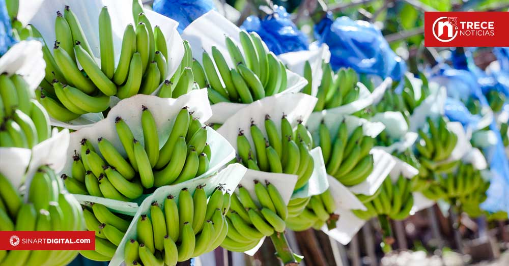 Exportaciones superan los $7.400 millones y crecen 7% en primeros meses del año