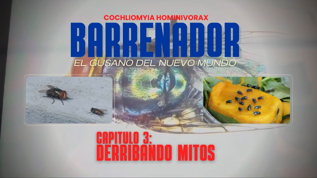 El Gusano Barrenador del Nuevo Mundo | Parte 3