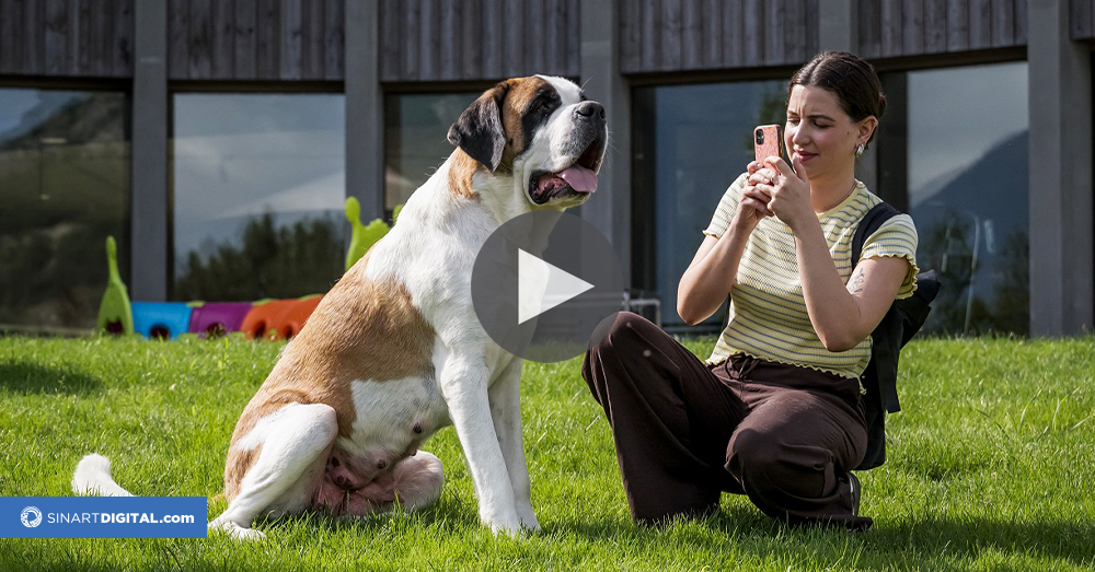 Un parque temático en honor al San Bernardo reabre sus puertas en Suiza