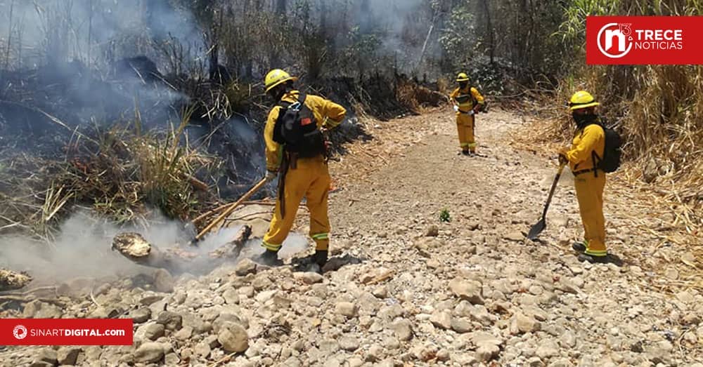 Cuarto Fondo Verde reforzará programas para evitar incendios forestales