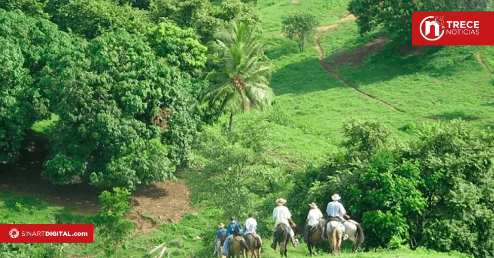 Costa Rica amplía sus compradores para la reducción de emisiones forestales