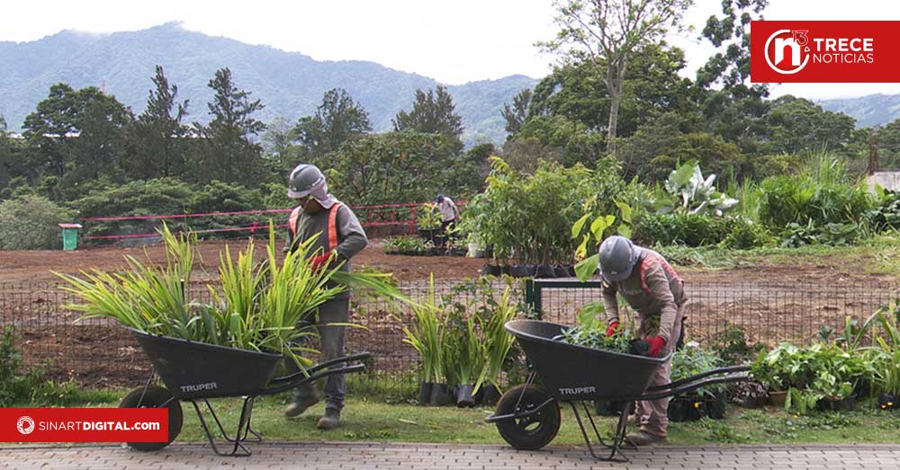 Primer bosque de bolsillo en Centroamérica con la plataforma SUGi Pocket Forest