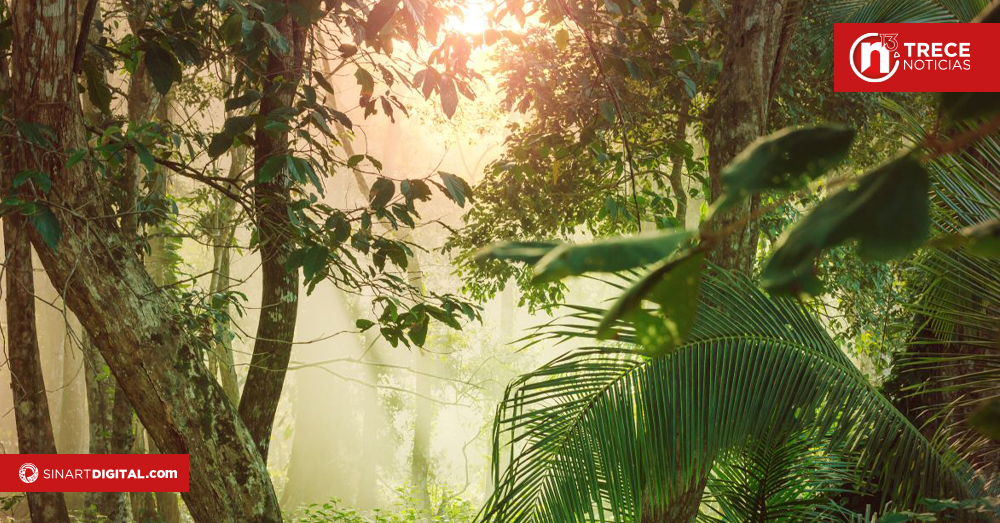 MINAE oficializa 21 Planes de Manejo en Áreas Silvestres Protegidas