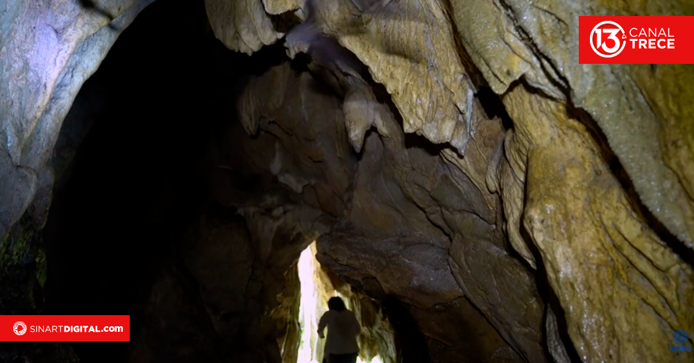Documental: Buscadores de Murciélagos
