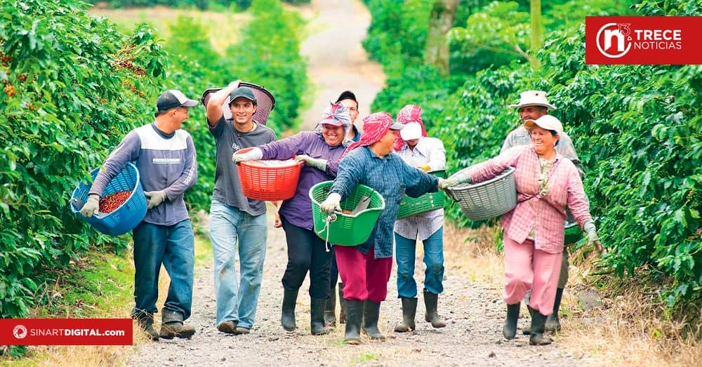 CEPAL analiza el futuro de la industria cafetalera en Costa Rica y Honduras