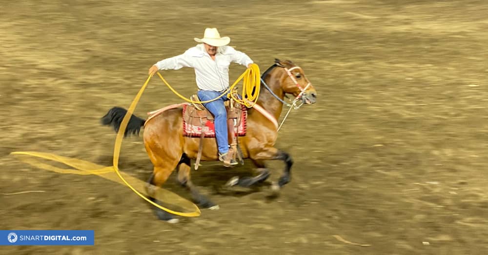 “Calilo” Arguedas lleva 15 años lazando toros en Zapote 