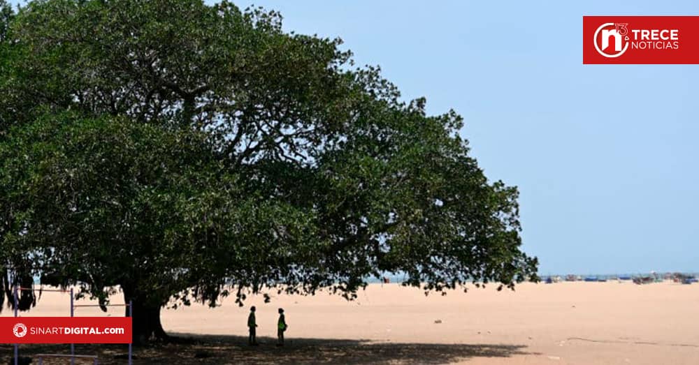 Escuelas suspenden la vuelta a las aulas por una ola de calor en el sur de Brasil