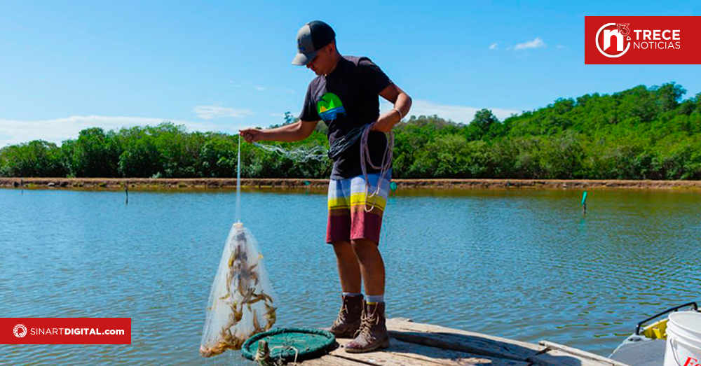 Festival Nacional del Camarón le espera en Colorado