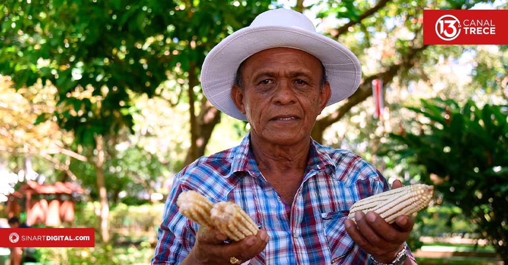 Campesinos ticos | Dominio documental 