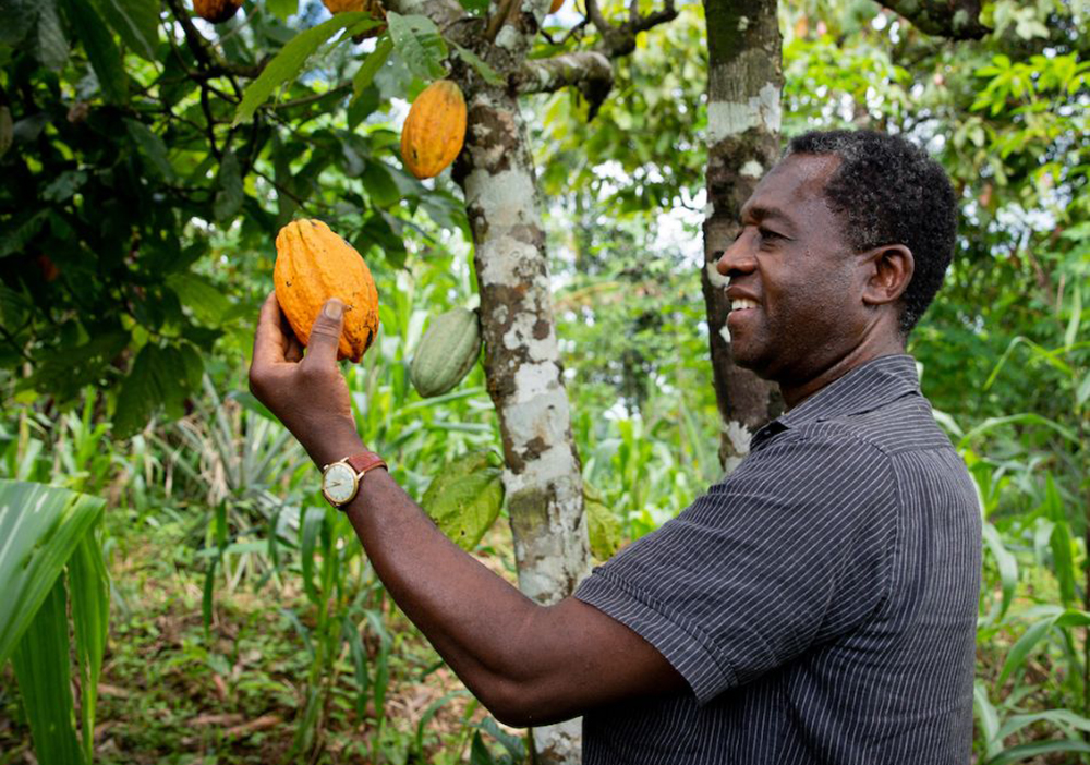 Tendencias de alimentación en Costa Rica y el mundo apuestan a la salud 
