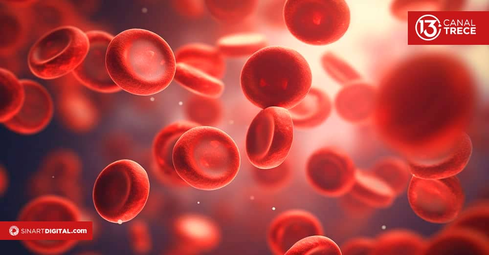 Combata la mala circulación. 