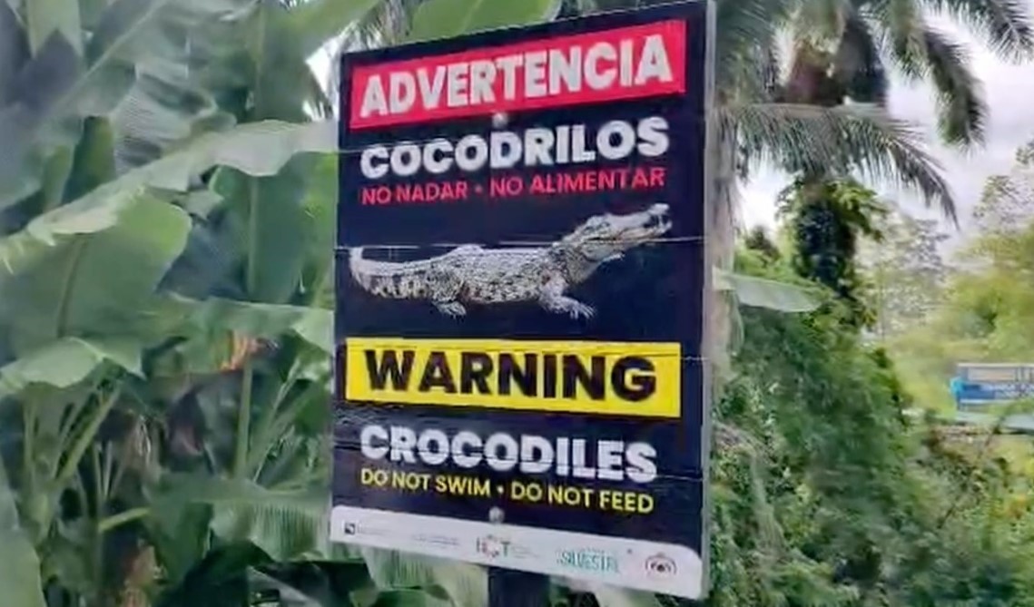Rótulos avisan de presencia de cocodrilos durante vacaciones  