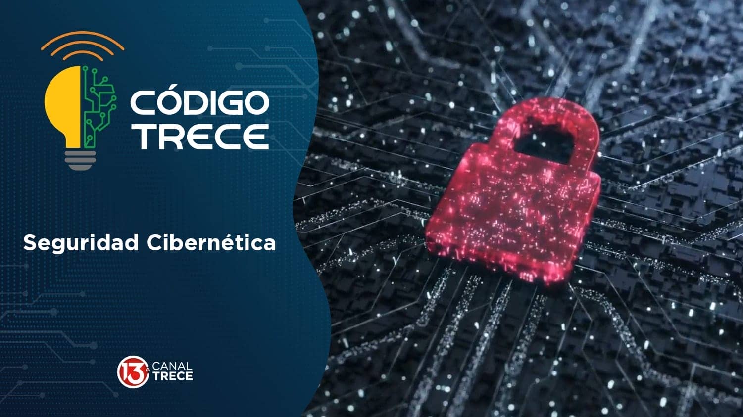 Seguridad cibernética | Código Trece. 