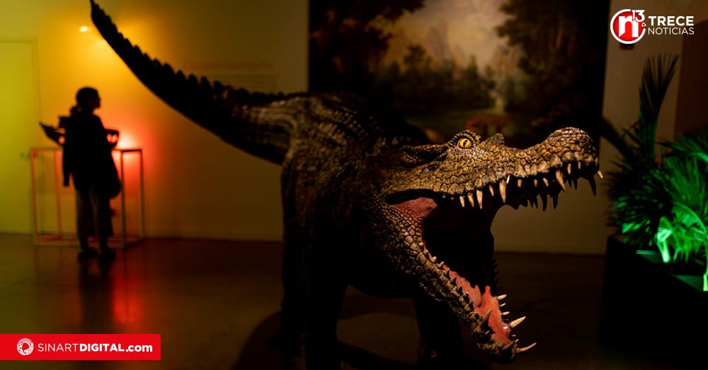 ¿Es Colombia el país con más dinosaurios? El inesperado relato sobre estas criaturas que “aún viven entre nosotros”