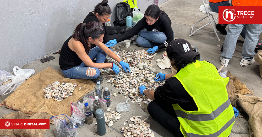 Voluntarios del Aeropuerto Juan Santamaría participan en clasificación de conchas