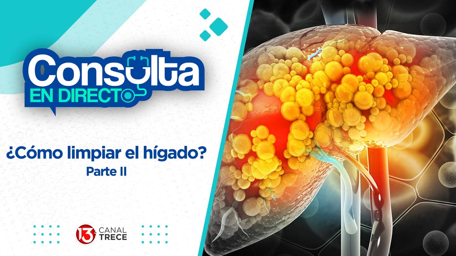 Consejos para limpiar el hígado - parte 2 - | Consulta en directo 13 marzo 2024. Programa Completo.  