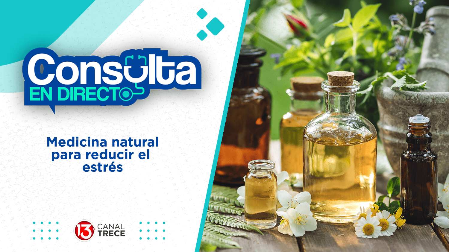 Medicina natural para reducir el estrés  | Consulta en directo 3 julio 2024. Programa Completo.