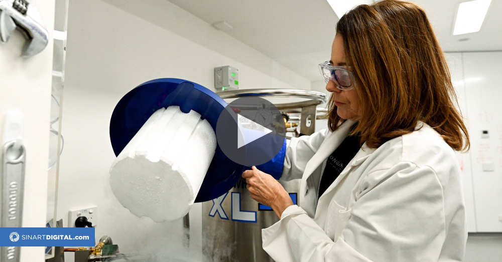 Corales congelados en el tiempo, una solución para la Gran Barrera en Australia