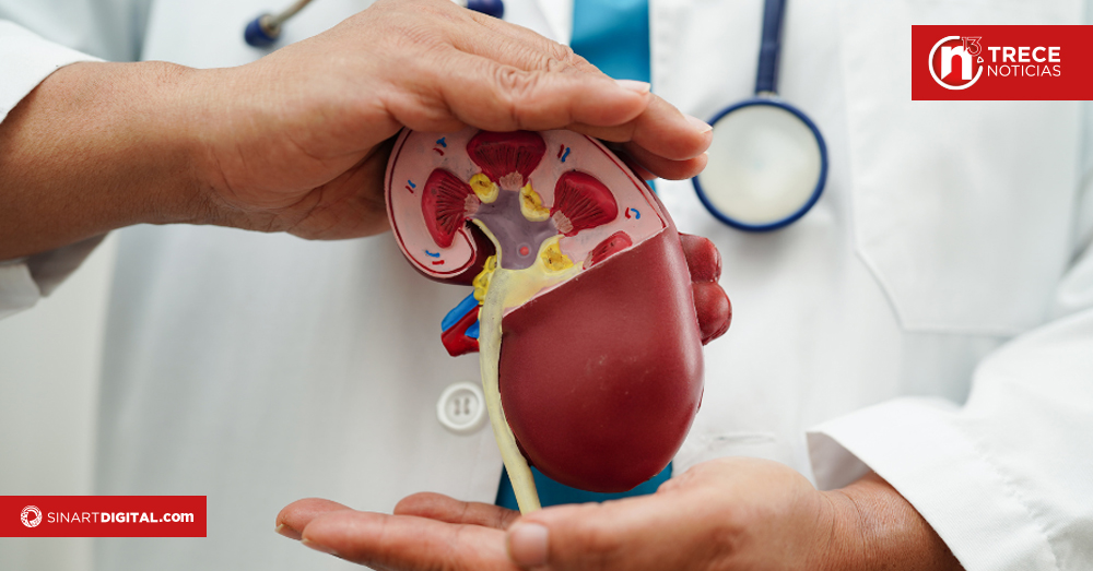 Crisis en trasplantes: Pacientes presentan alta mortalidad mientras Salud plantea soluciones 