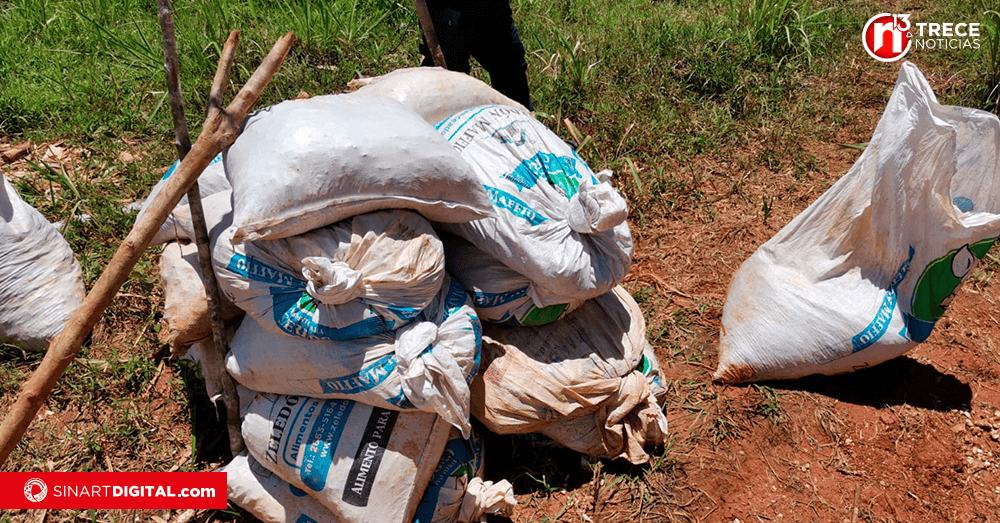 Geólogo: 'En Crucitas, debería aprobarse la minería artesanal'