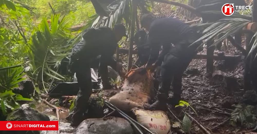 Fuerza Pública, Migración y Salud se mantienen en Crucitas 