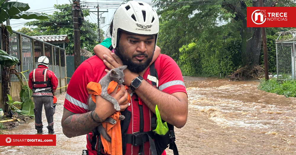 La Cruz Roja atendió una emergencia por minuto durante el 2024