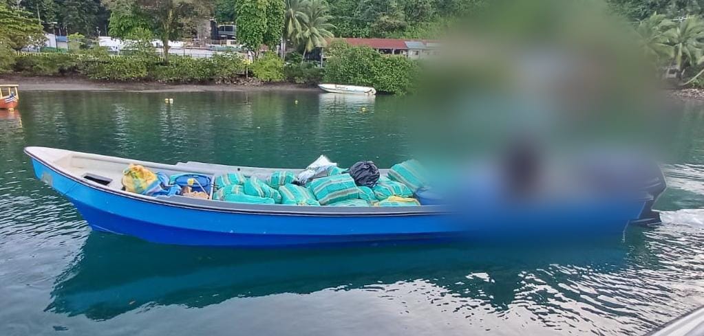 Guardacostas decomisó más de una tonelada de marihuana en el Pacífico