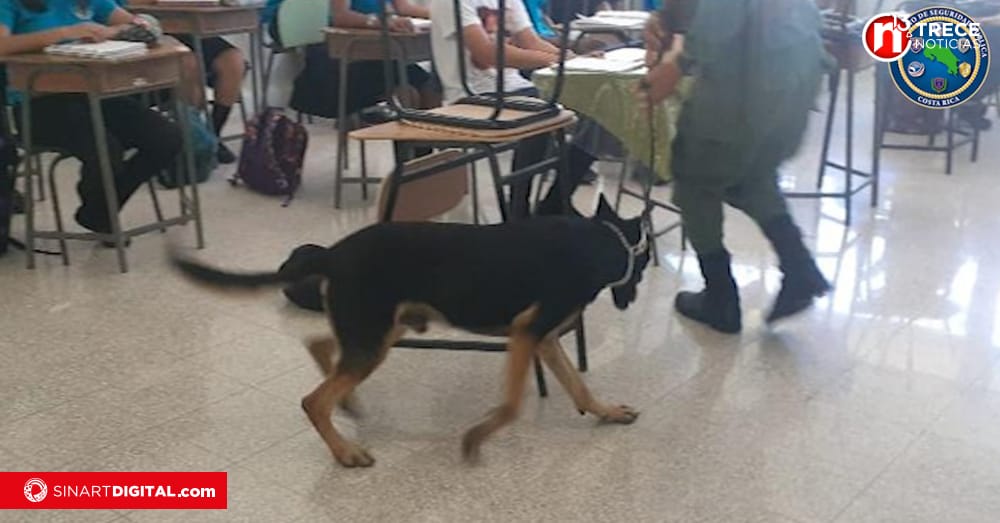 Más de 200 gramos de droga, tres armas de fuego y 124 armas blancas ha decomisado la policía en centros educativos