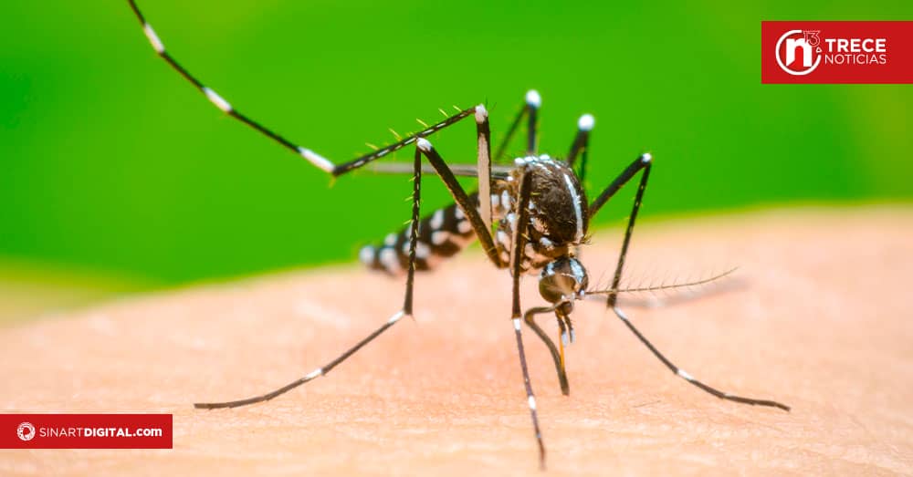 Dengue cierra con cifra histórica este 2024