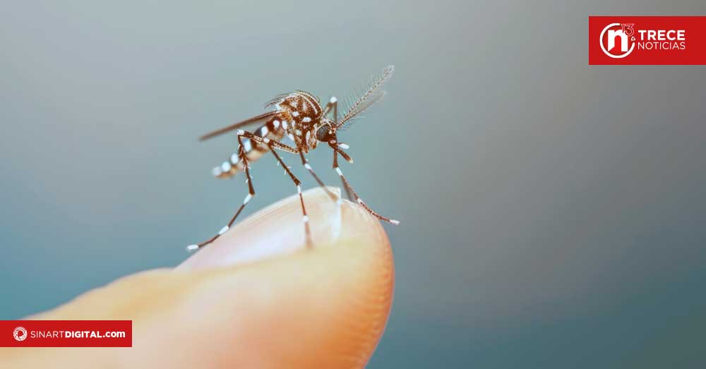 Salud intensifica operativo contra el dengue tras aumento de casos en Orotina