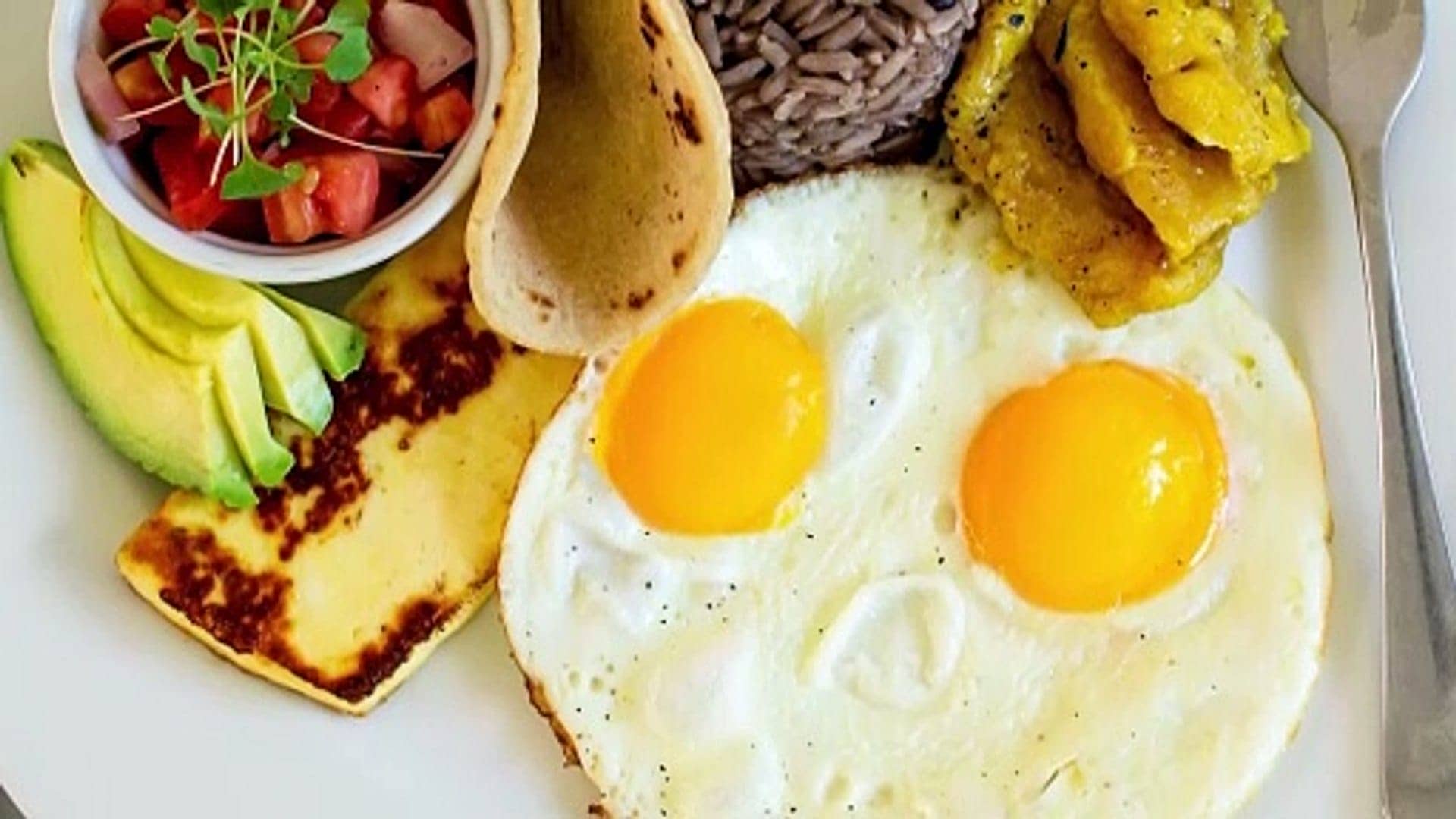 Desayunos Nutritivos  - 18 Enero 2024  | Su Lado Positivo