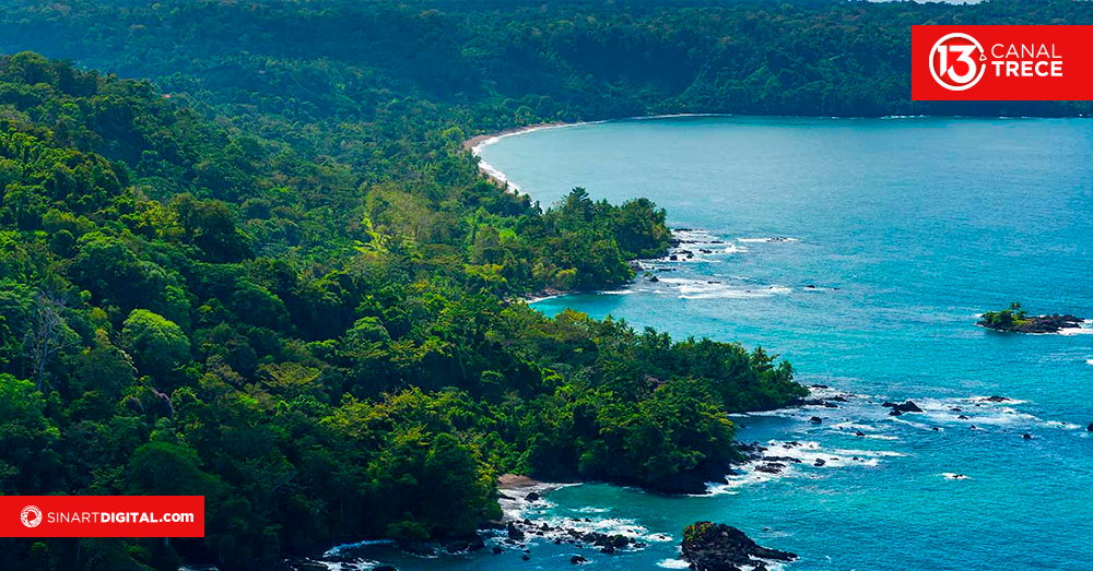 Osa, seis años después 