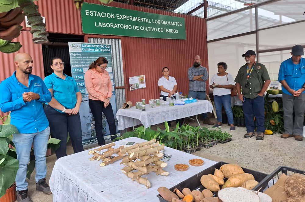 Centro de Investigación Agropecuaria en el Caribe recibe financiamiento del MAG 