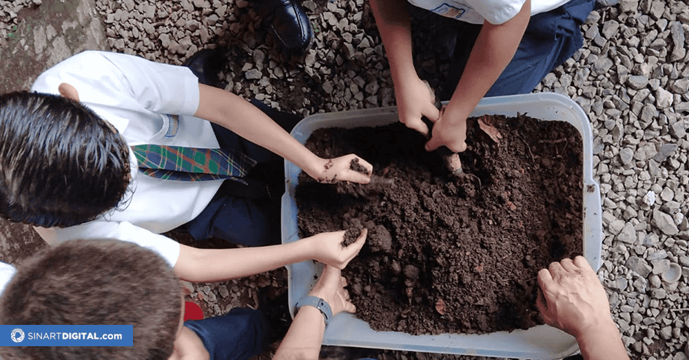 Programa Yo Pienso Verde abre convocatoria a centros educativos para capacitarse en temas de protección del medio ambiente.