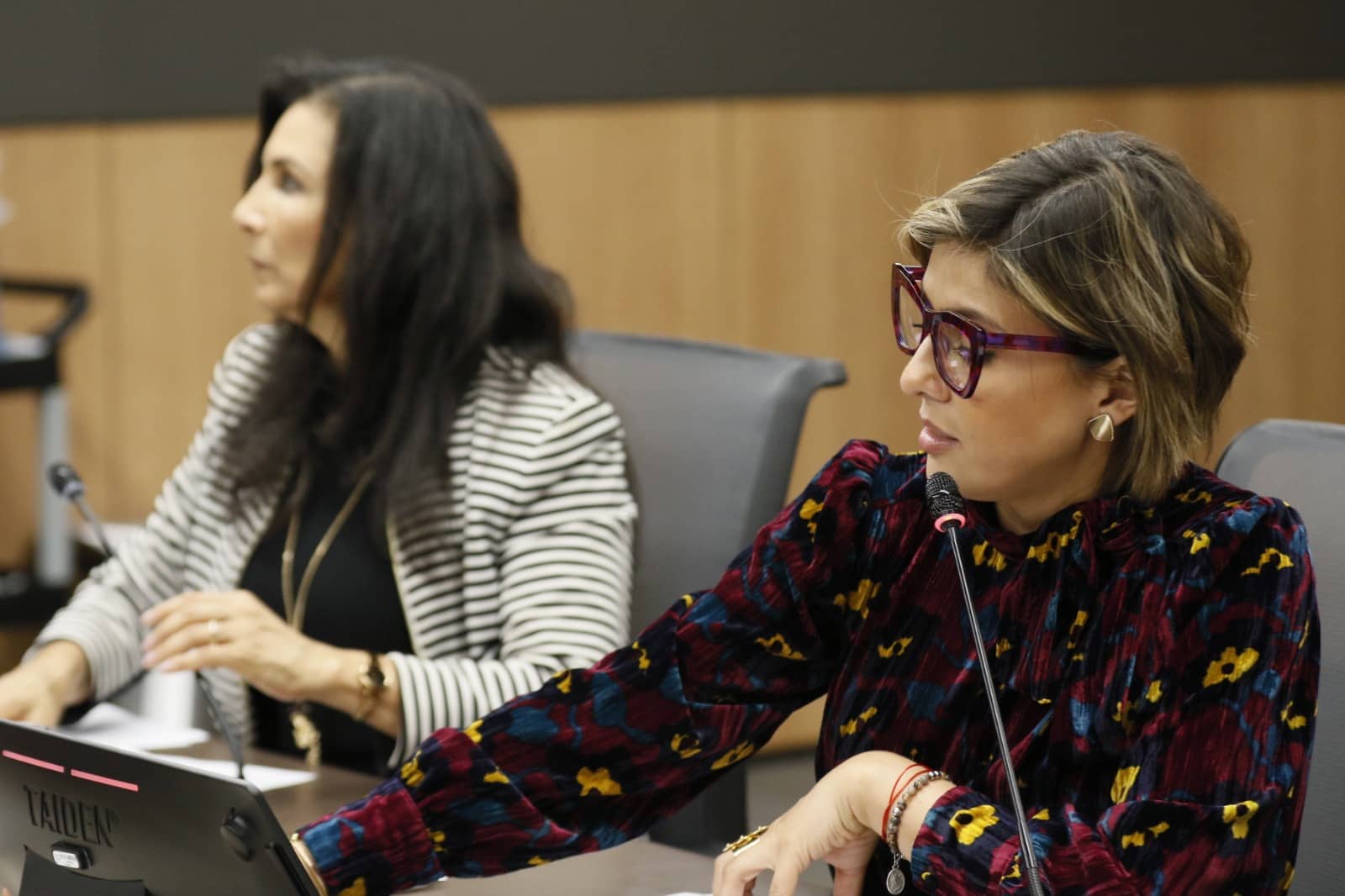 Lista negra de la Unión Europea desata pulso en el Congreso 