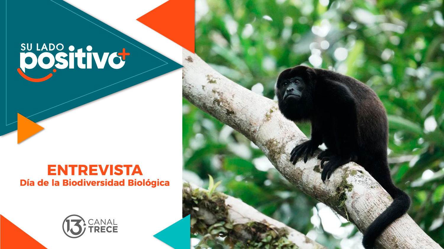 Entrevista Día de la Biodiversidad Biológica | Su lado Positivo