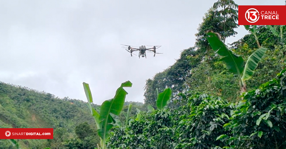 5G optimizará monitoreo y fertilización de café en Los Santos