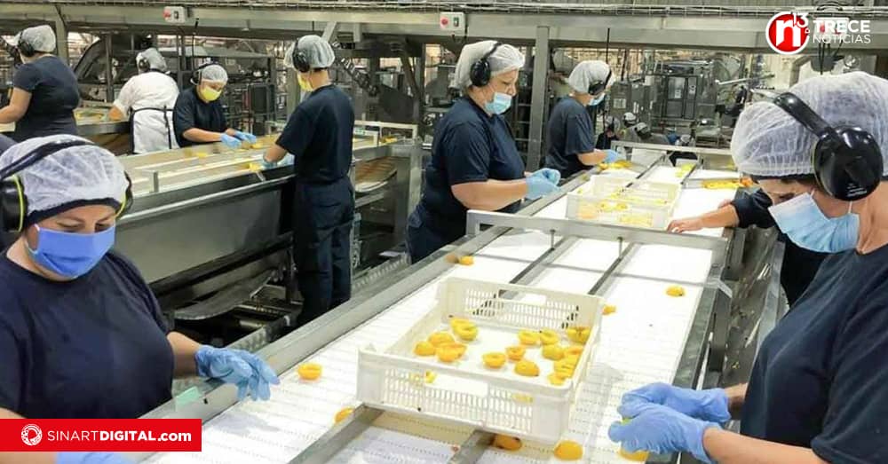 INEC: Tasa de desempleo bajó entre mayo y julio