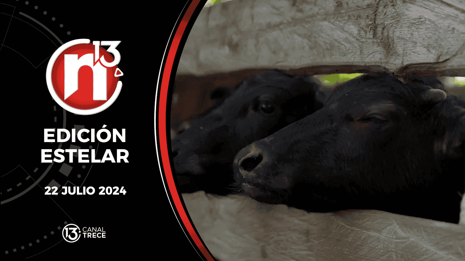 Trece Noticias Edición Estelar | 22 julio 2024