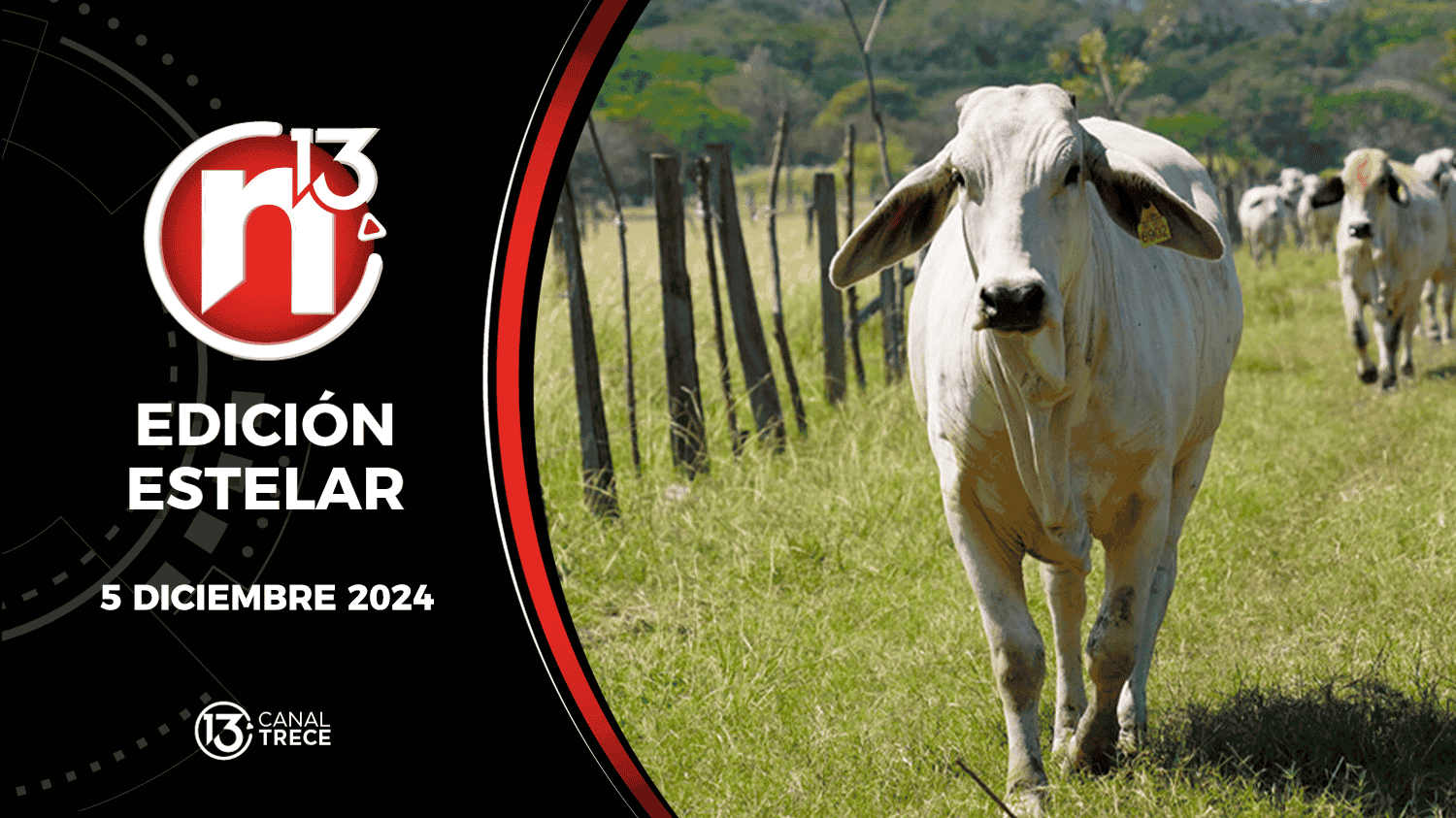 Trece Noticias Edición Estelar | 5 Diciembre 2024